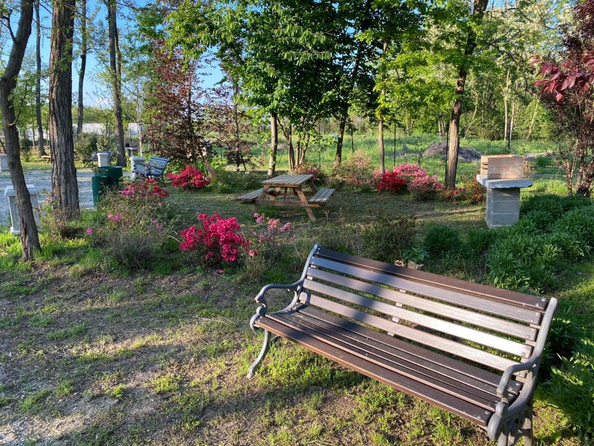 Dorno Oasilandia B&B 외부 사진